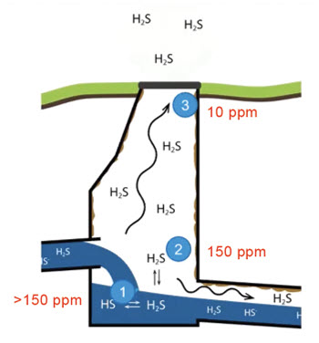 Visual representation of Hydrogen Sulfide in wasterwater